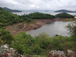 Jungle Safari in Bhadra Wildlife Sanctuary